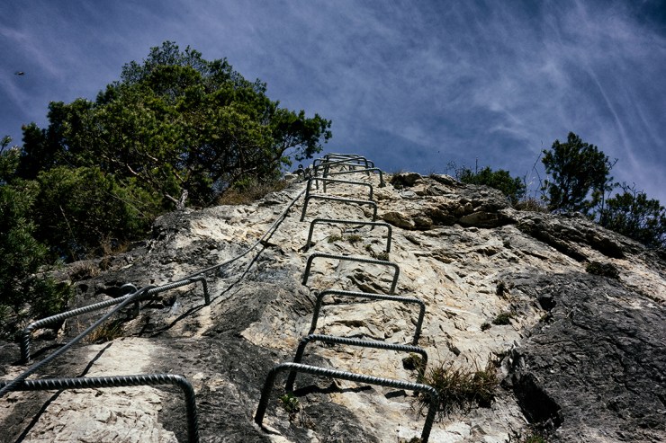 41501814572_1592c1226b_o