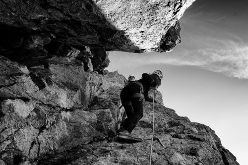 41211562641_d01cb01af8_z