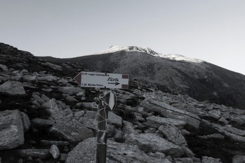 45175252822_e4c57c3675_z