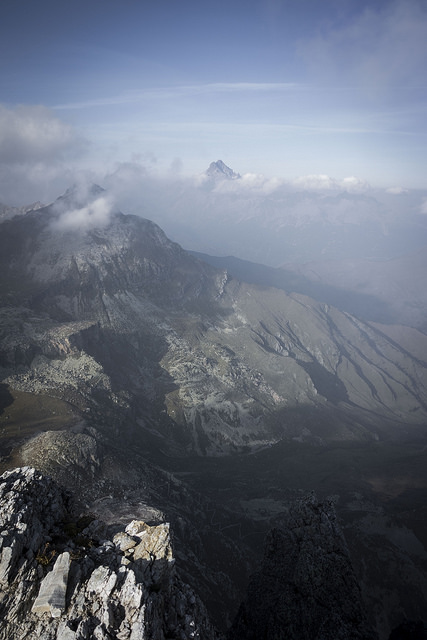 45175257702_66947fbebb_z