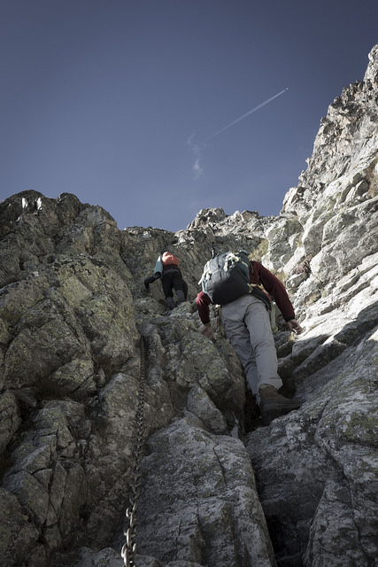 45225283071_52cb8d95eb_z