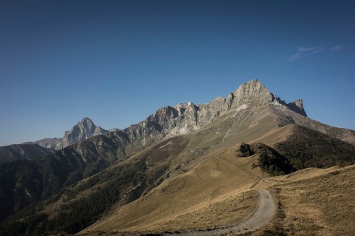 43412456330_ba99dafdd0_z