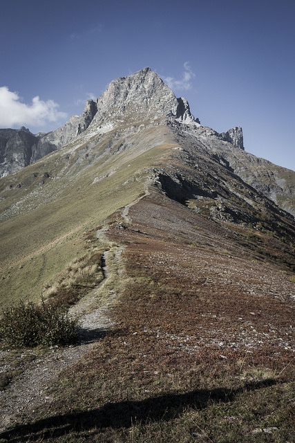 44503172324_a982831f64_z