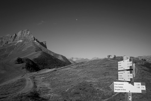 44503172434_00be21eb7f_z