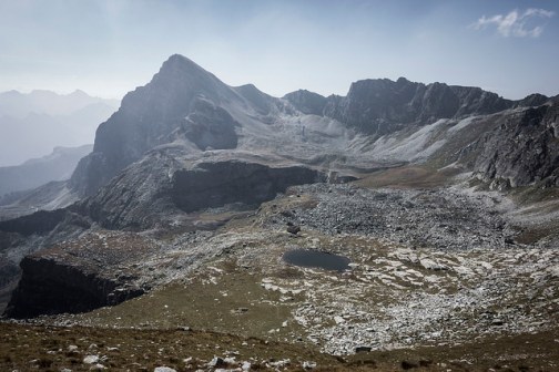 45175288592_c7d26537fe_z