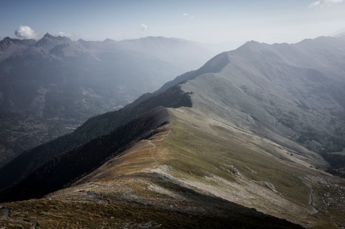 45225285631_c812bef490_z