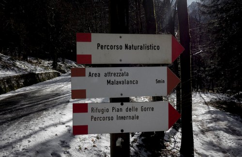 31150531957_4e042bf3e5_z