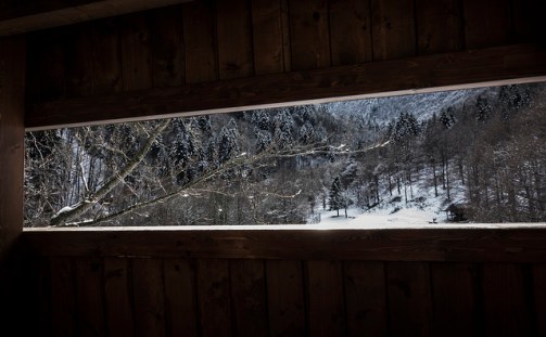 32218236338_b32d112ab0_z