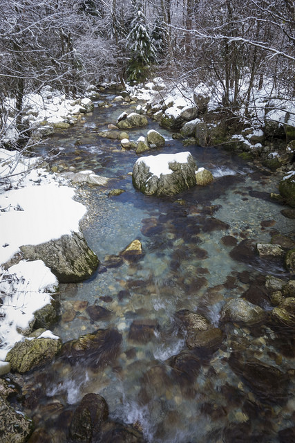 32218248048_df9e3e3246_z