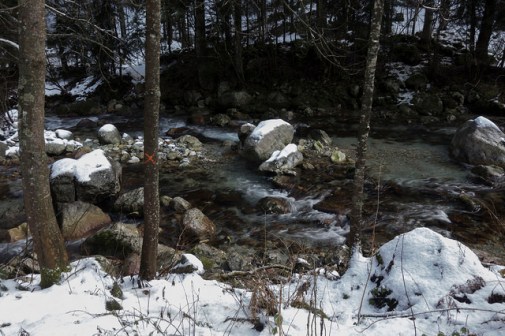 44273191980_9effe1b4b1_z