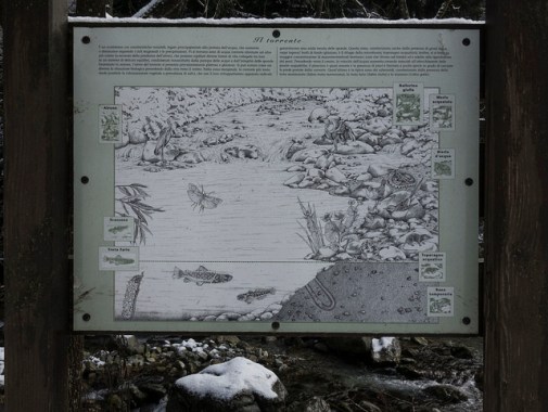 44273192440_3bcf85e5e3_z