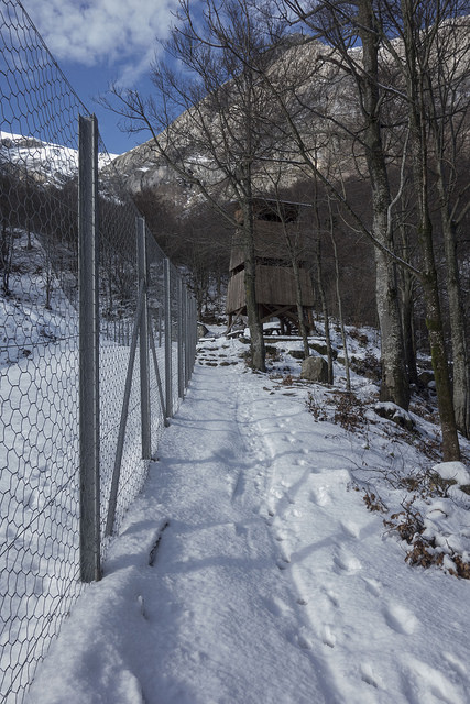 45365160324_ece3222efd_z