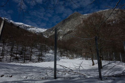 45365161844_ea4c76a128_z