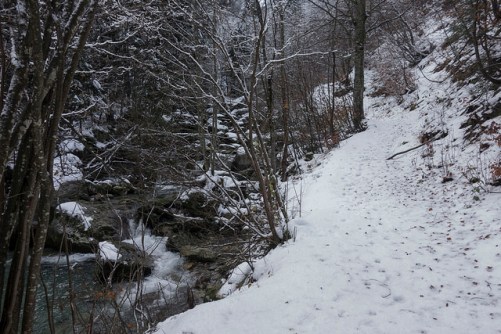 45365162904_a533ab3eda_z