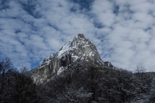 45365163254_1bd693062e_z