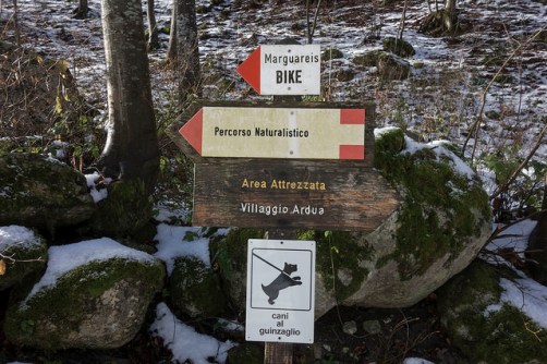 45365167294_73d43b9f53_z