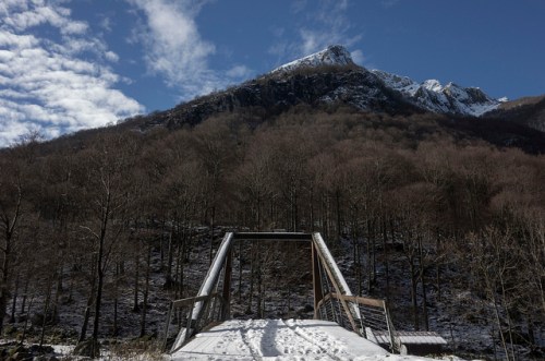 45365167604_d349bf6767_z