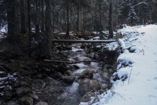 46039363022_c4660baf2f_z