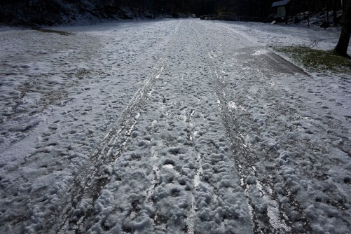 46089457821_80104cf989_z