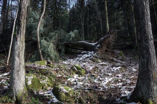 46089458831_f60877b9f8_k