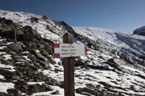 32469901408_25faa13d79_z