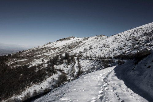 44525108290_6d142effd8_z