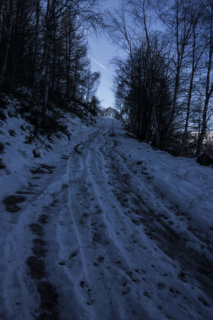 44525127900_908a9891dc_z