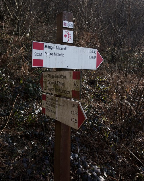 44698175830_c7af1cca20_z