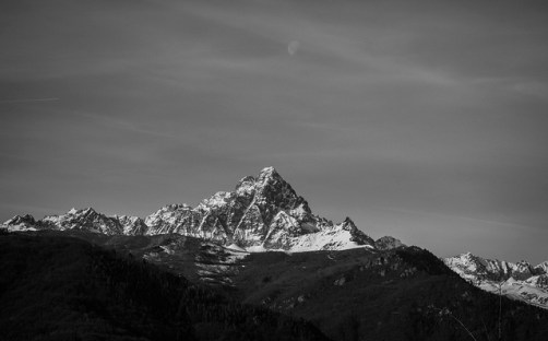 44698202650_d92d08623a_z