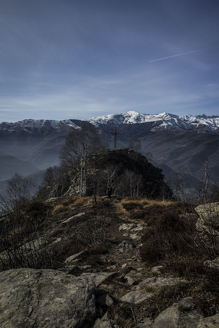 45601973005_480dd2054e_z