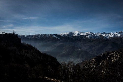 45601976535_e59382ffa9_z