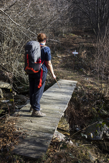 45601977885_4d821611a7_z