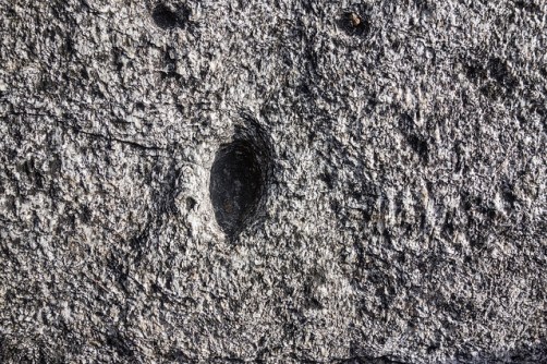 45601990935_bbef491a93_z