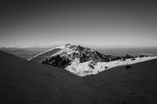 45618674024_180e70decc_z