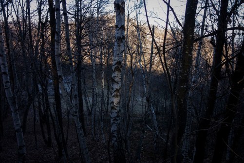 45618721934_57923a7a54_z