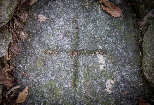 45791461124_b4ed5b6bf5_z