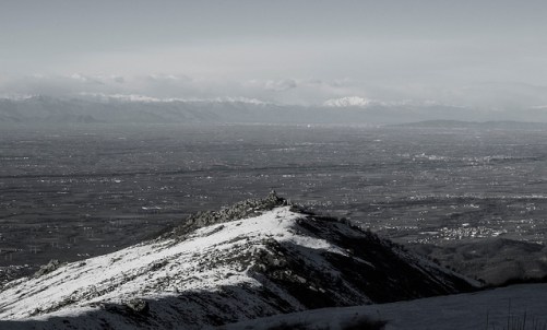 46291374992_f46c9dcdc9_z