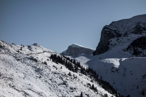 46291389342_44f62db03a_z (1)