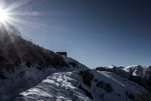 46342126061_cae0cfa4bc_z