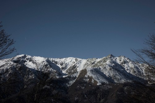 46342126661_8bd3e818f9_z