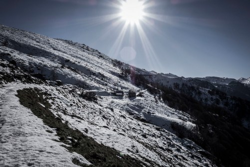 46342159981_09093c95a6_z