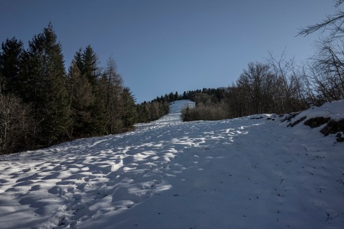 46342163371_e01245fd84_z