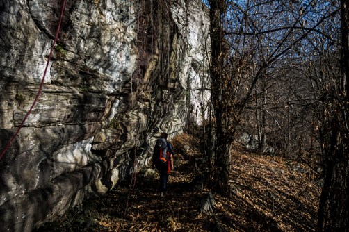 46515363651_42ecd85433_z