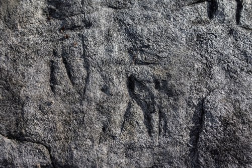 46515367631_0e7aef2b48_z