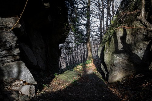 46515376991_a0319a4b97_z