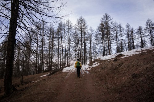 31985718667_a12d08252c_z