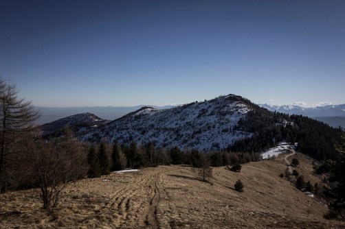 32063573097_617115b847_z