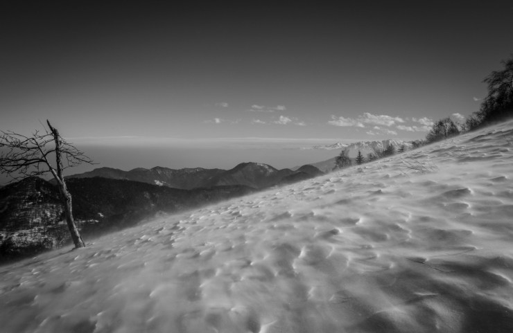 32222974417_89268029c8_k