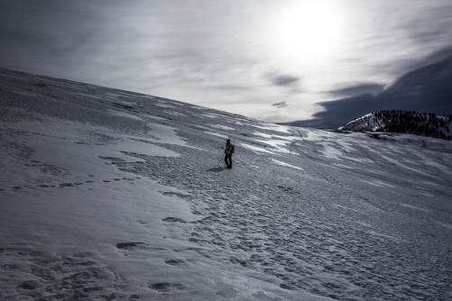 33051357328_3c07dedc35_z