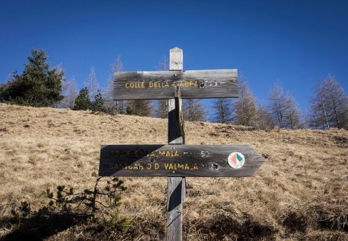 33129482268_30e27e6445_z